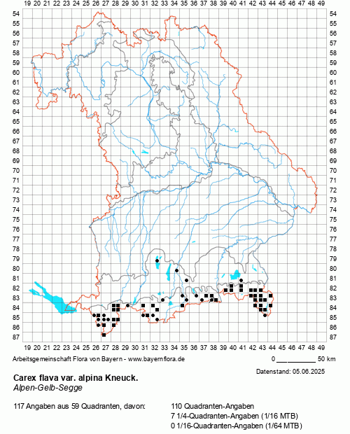Die Verbreitungskarte zu Carex flava var. alpina Kneuck. wird geladen ...