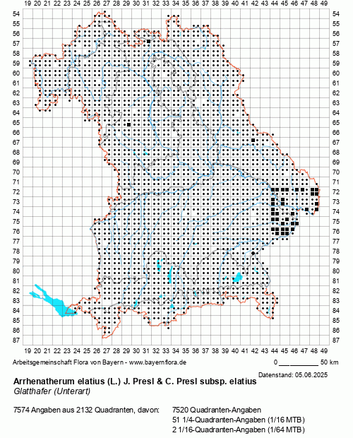 Die Verbreitungskarte zu Arrhenatherum elatius (L.) J. Presl & C. Presl subsp. elatius wird geladen ...