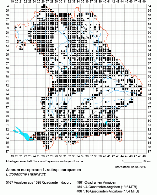 Die Verbreitungskarte zu Asarum europaeum L. subsp. europaeum wird geladen ...