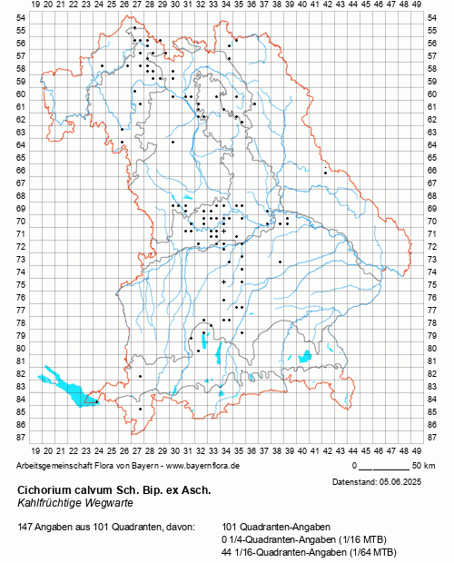 Die Verbreitungskarte zu Cichorium calvum Sch. Bip. ex Asch. wird geladen ...