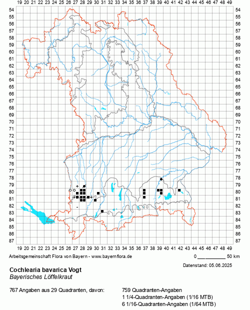 Die Verbreitungskarte zu Cochlearia bavarica Vogt wird geladen ...