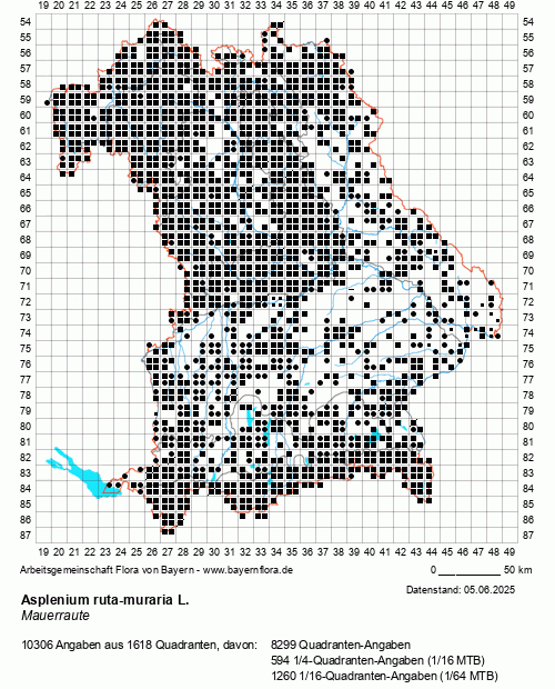 Die Verbreitungskarte zu Asplenium ruta-muraria L. wird geladen ...