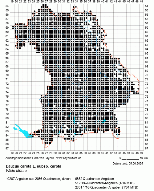 Die Verbreitungskarte zu Daucus carota L. subsp. carota wird geladen ...
