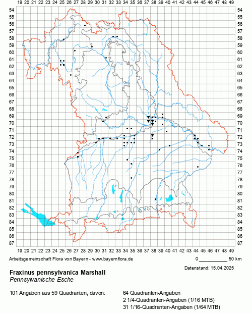 Die Verbreitungskarte zu Fraxinus pennsylvanica Marshall wird geladen ...