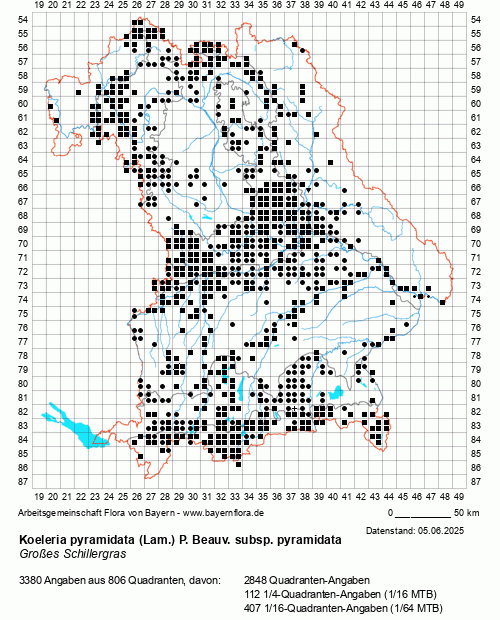 Die Verbreitungskarte zu Koeleria pyramidata (Lam.) P. Beauv. subsp. pyramidata wird geladen ...