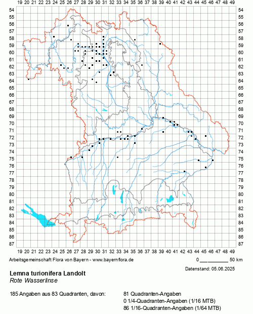 Die Verbreitungskarte zu Lemna turionifera Landolt wird geladen ...