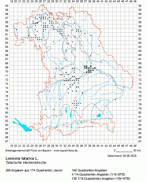 Die Verbreitungskarte zu Lonicera tatarica L. wird geladen ...