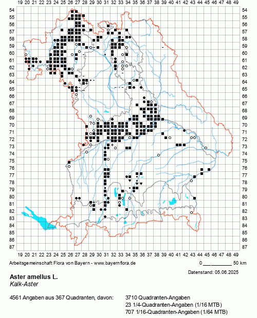 Die Verbreitungskarte zu Aster amellus L. wird geladen ...