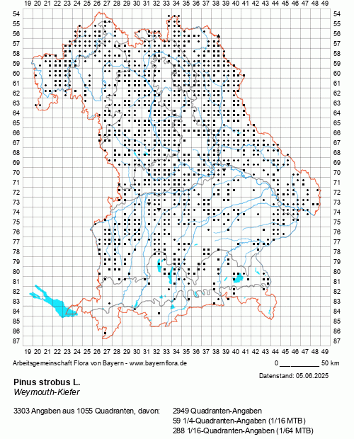 Die Verbreitungskarte zu Pinus strobus L. wird geladen ...