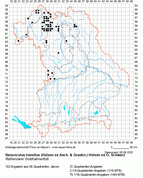 Die Verbreitungskarte zu Ranunculus hevellus (Hülsen ex Asch. & Graebn.) Hülsen ex O. Schwarz wird geladen ...