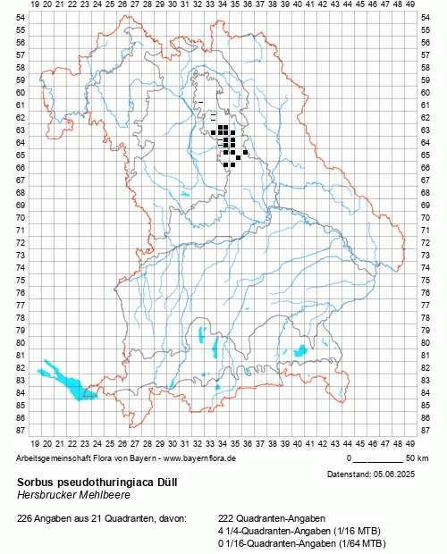 Die Verbreitungskarte zu Sorbus pseudothuringiaca Düll wird geladen ...