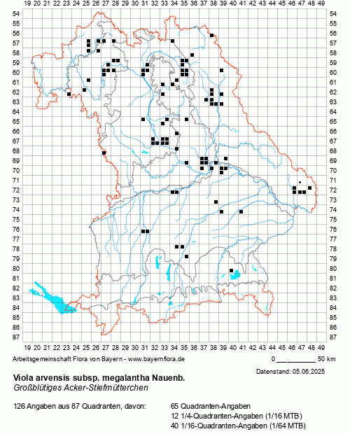 Die Verbreitungskarte zu Viola arvensis subsp. megalantha Nauenb. wird geladen ...