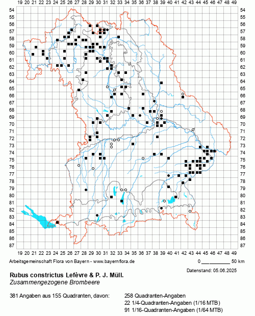 Die Verbreitungskarte zu Rubus constrictus Lefèvre & P. J. Müll. wird geladen ...