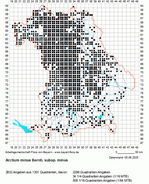 Die Verbreitungskarte zu Arctium minus Bernh. subsp. minus wird geladen ...