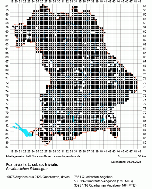 Die Verbreitungskarte zu Poa trivialis L. subsp. trivialis wird geladen ...