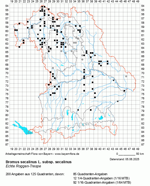 Die Verbreitungskarte zu Bromus secalinus L. subsp. secalinus wird geladen ...