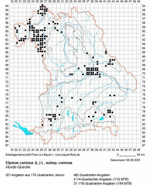Die Verbreitungskarte zu Elymus caninus (L.) L. subsp. caninus wird geladen ...