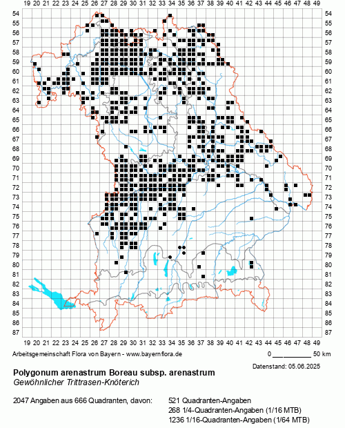 Die Verbreitungskarte zu Polygonum arenastrum Boreau subsp. arenastrum wird geladen ...