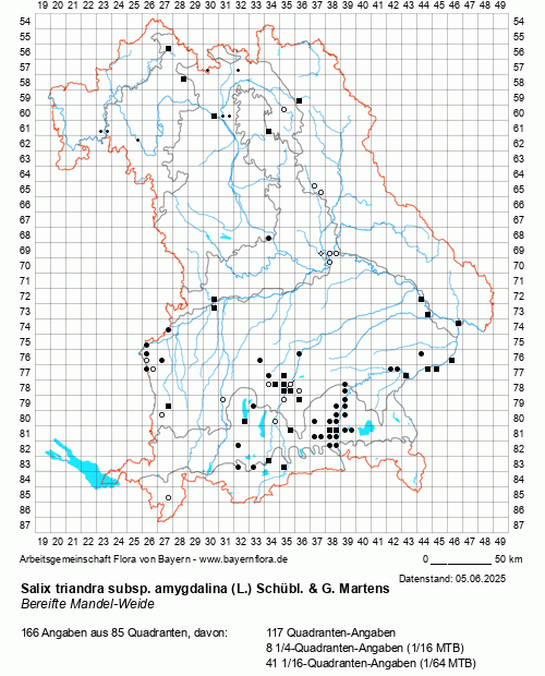 Die Verbreitungskarte zu Salix triandra subsp. amygdalina (L.) Schübl. & G. Martens wird geladen ...