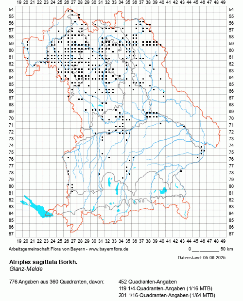 Die Verbreitungskarte zu Atriplex sagittata Borkh. wird geladen ...