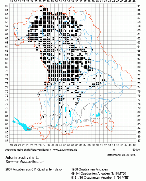 Die Verbreitungskarte zu Adonis aestivalis L. wird geladen ...