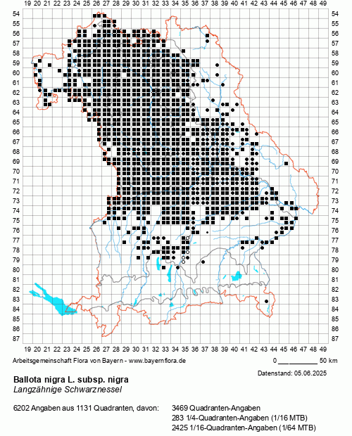 Die Verbreitungskarte zu Ballota nigra L. subsp. nigra wird geladen ...