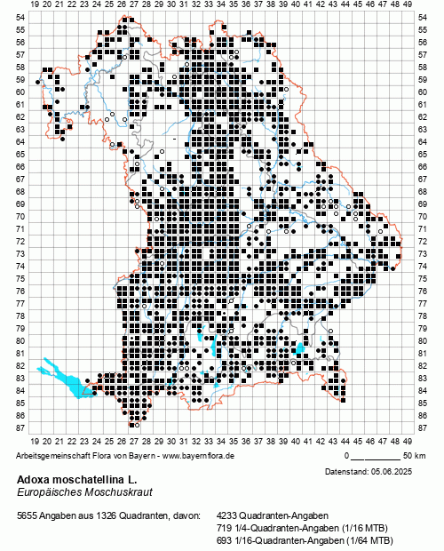 Die Verbreitungskarte zu Adoxa moschatellina L. wird geladen ...