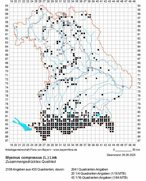 Die Verbreitungskarte zu Blysmus compressus (L.) Link wird geladen ...