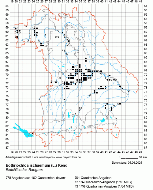 Die Verbreitungskarte zu Bothriochloa ischaemum (L.) Keng wird geladen ...