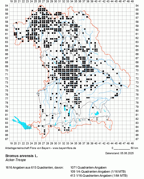 Die Verbreitungskarte zu Bromus arvensis L. wird geladen ...
