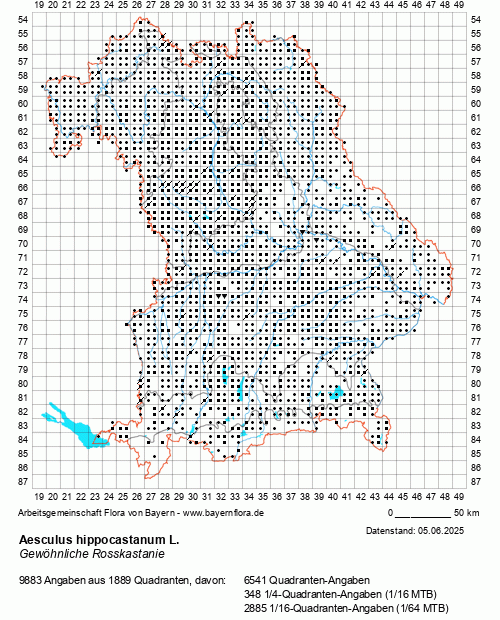 Die Verbreitungskarte zu Aesculus hippocastanum L. wird geladen ...