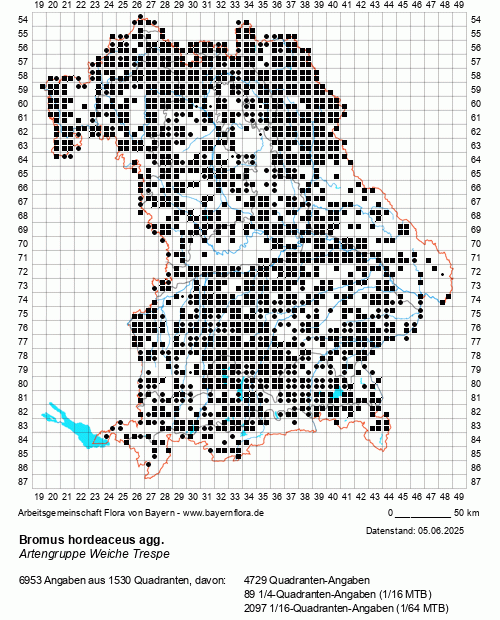 Die Verbreitungskarte zu Bromus hordeaceus agg. wird geladen ...