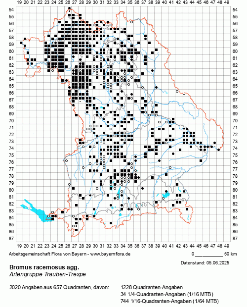 Die Verbreitungskarte zu Bromus racemosus agg. wird geladen ...