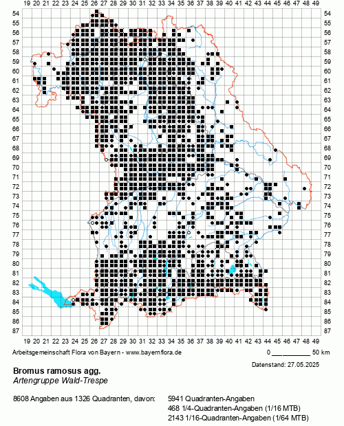Die Verbreitungskarte zu Bromus ramosus agg. wird geladen ...