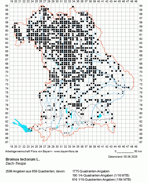 Die Verbreitungskarte zu Bromus tectorum L. wird geladen ...
