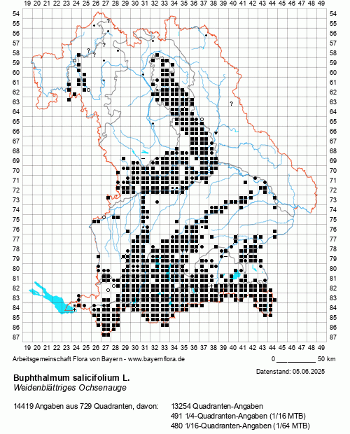 Die Verbreitungskarte zu Buphthalmum salicifolium L. wird geladen ...